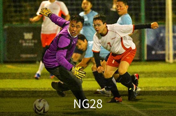 NG28概况